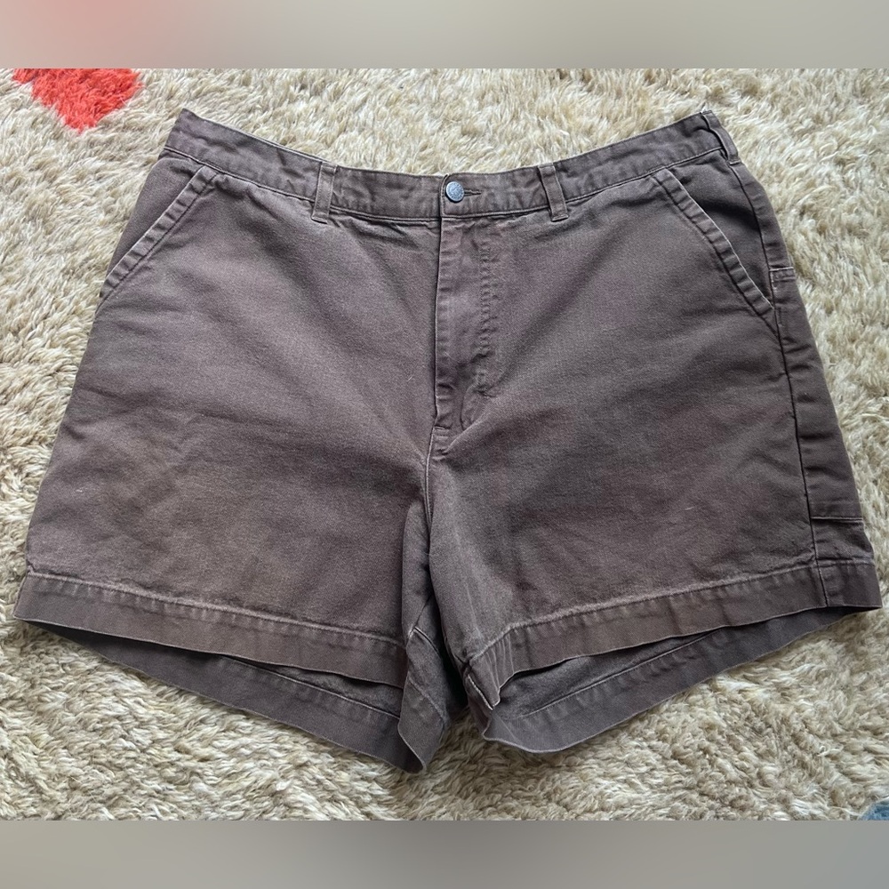 Men’s Patagonia 5 Inch Inseam, Brown Stand Up Short, Size 38